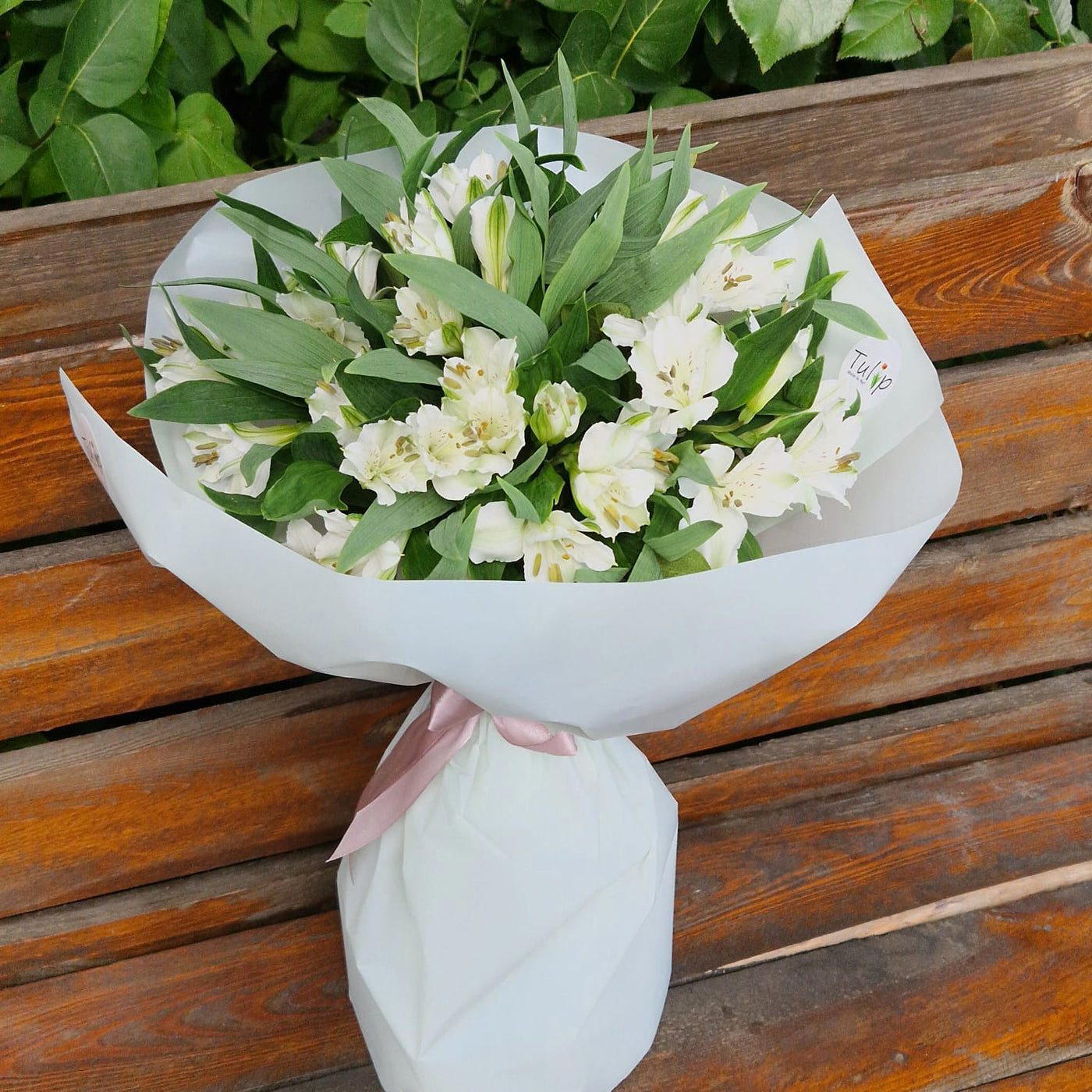 Tulip - Atelier de Flori