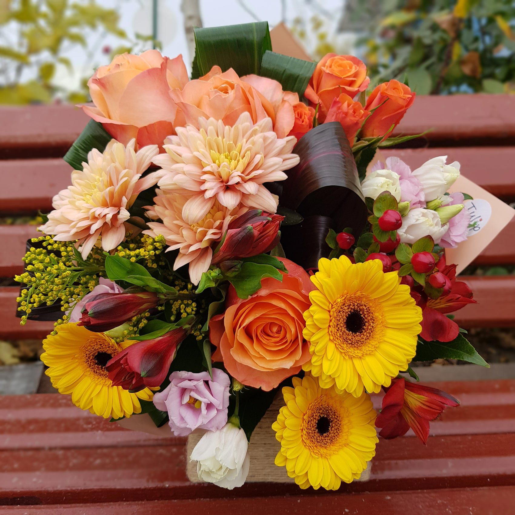 Tulip - Atelier de Flori