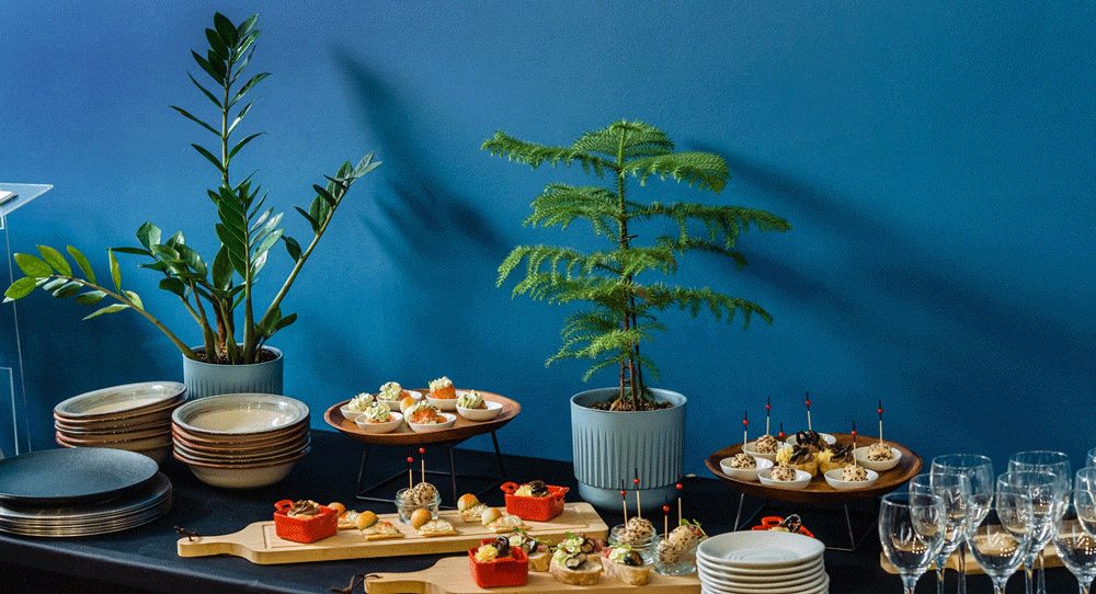 Catering Iasi