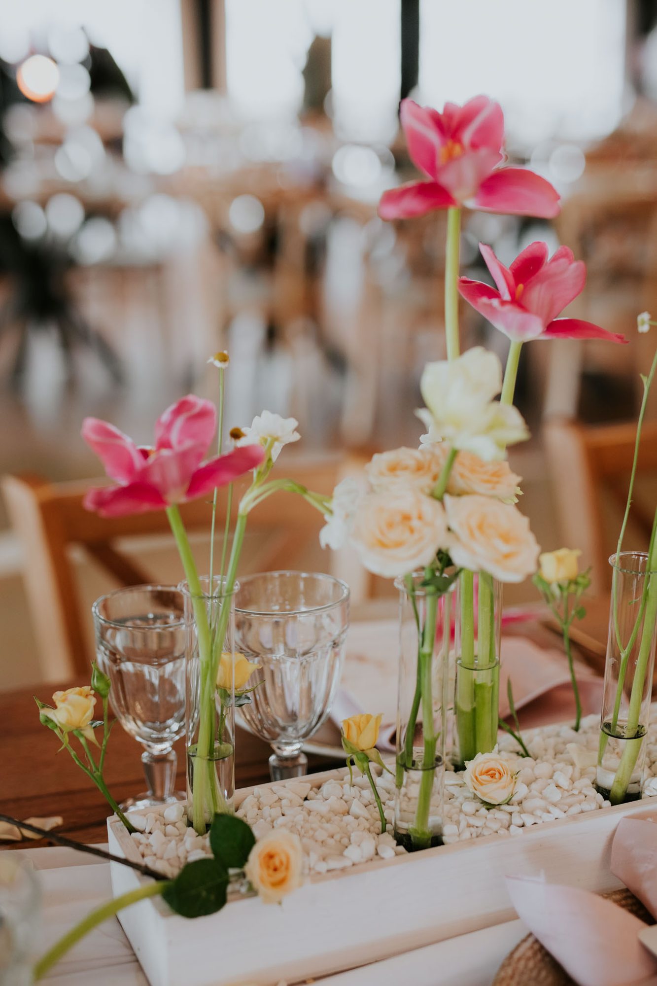 DAR Events