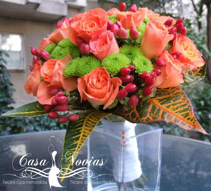 Casa Novias