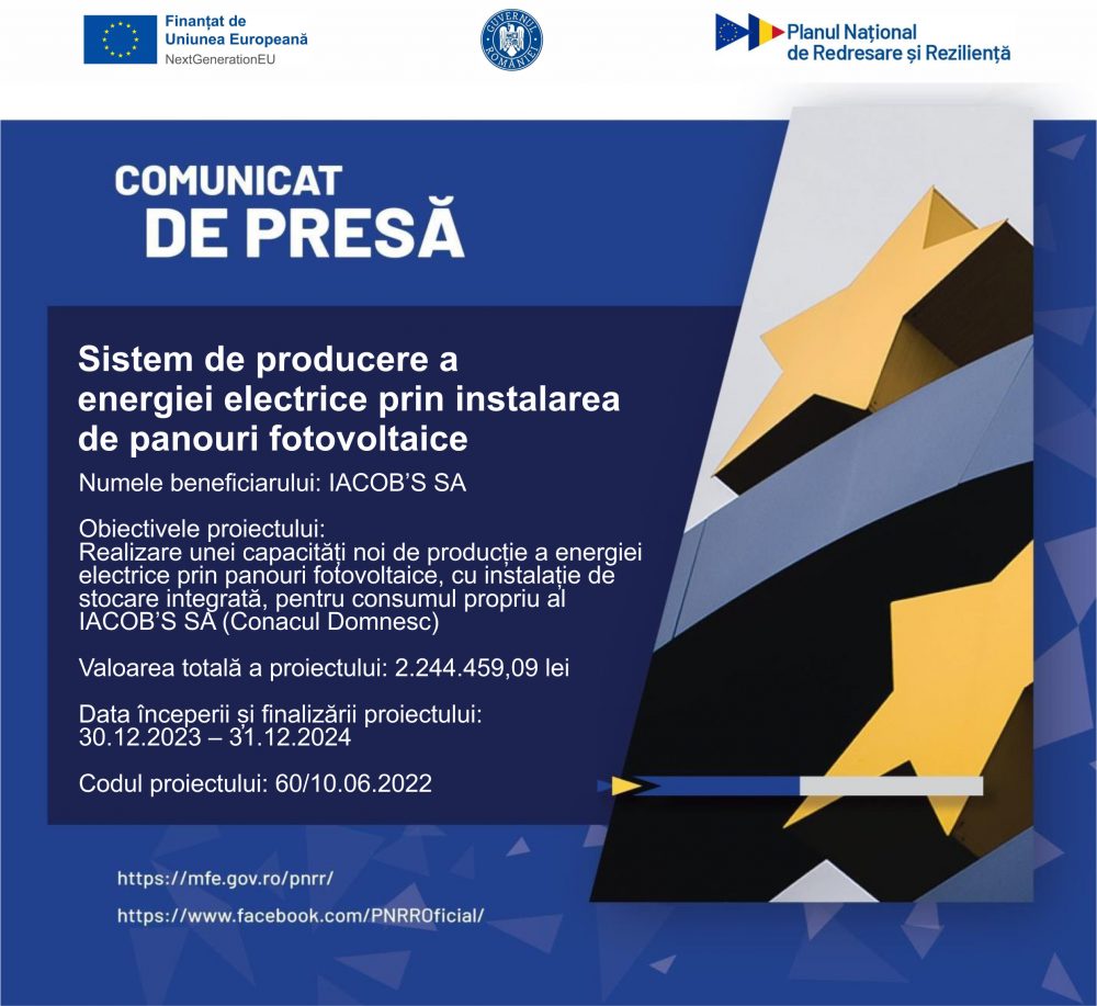 Conacul Domnesc