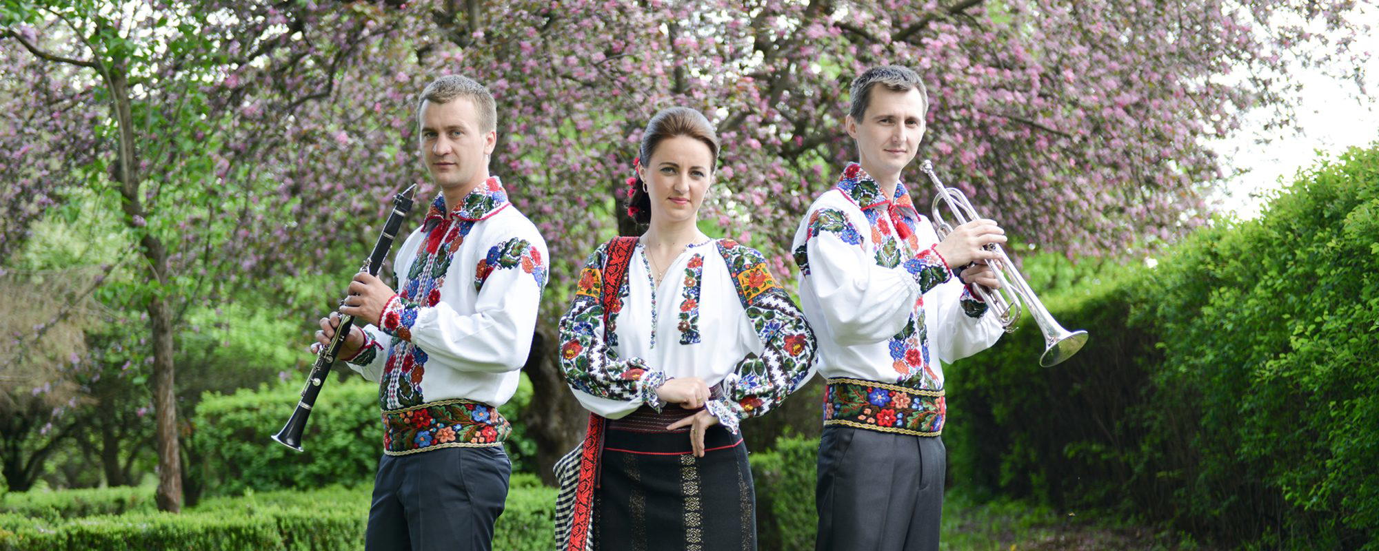 Frații Micliuc