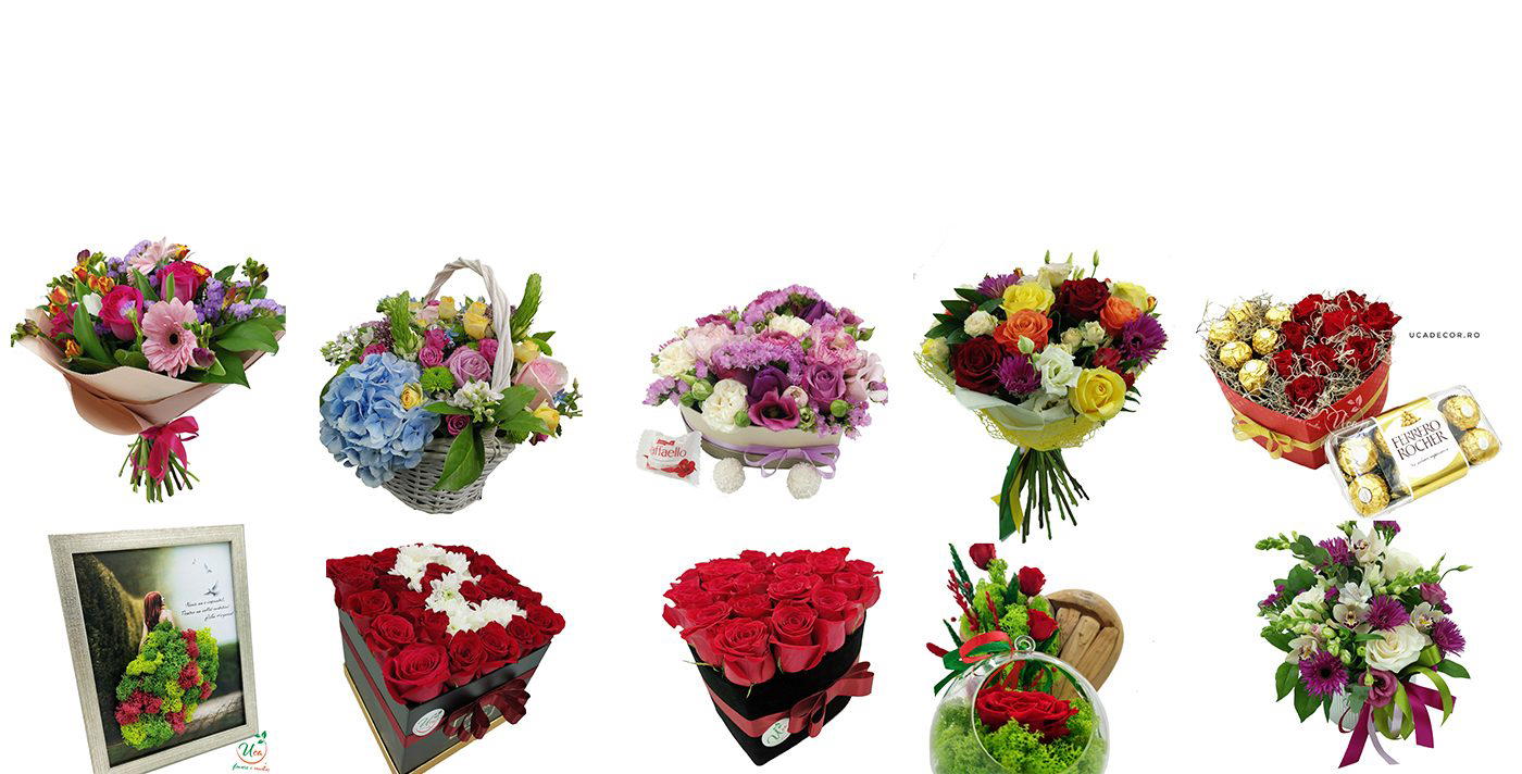 Uca Flowers