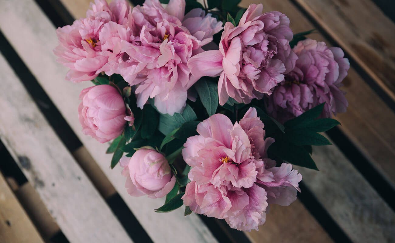 Sweet Flowers