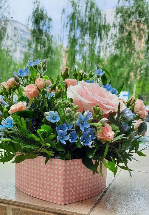 Floraria Gardenia