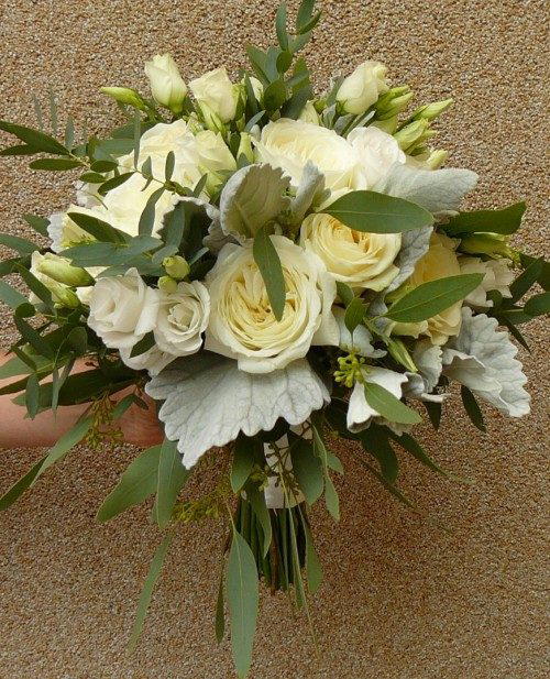 Floraria Gardenia
