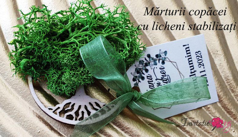 Invitatii si Marturii