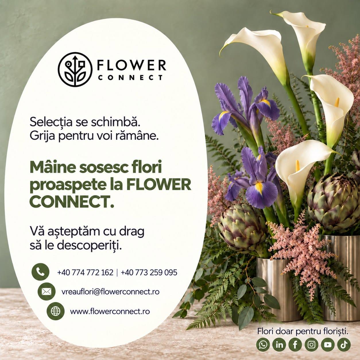 Flower Connect
