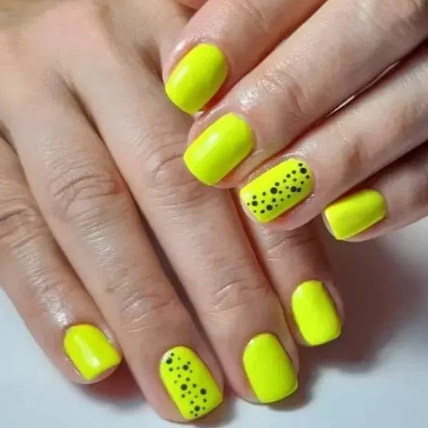 Salon Ellisium Iasi