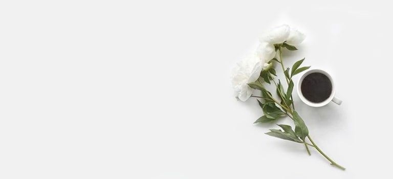 Floraria Design Floral