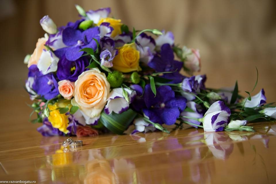 TAGIO EVENTS S.R.L.